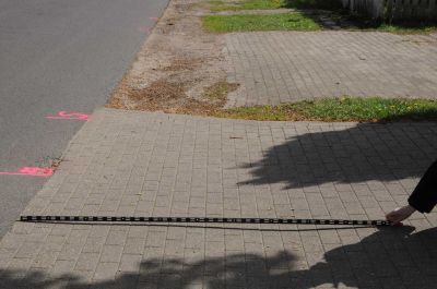 20120505_D90_Elsen_5651.jpg