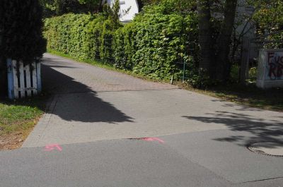20120505_D90_Elsen_5663.jpg