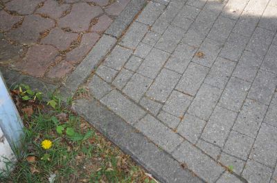 20120505_D90_Elsen_5665.jpg