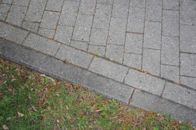 20120505_D90_Elsen_5666.jpg