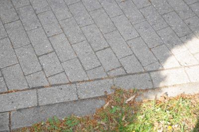 20120505_D90_Elsen_5667.jpg