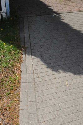 20120505_D90_Elsen_5668.jpg