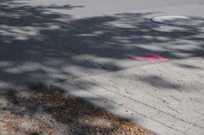 20120505_D90_Elsen_5687.jpg