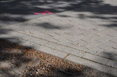 20120505_D90_Elsen_5688.jpg