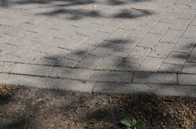 20120505_D90_Elsen_5689.jpg