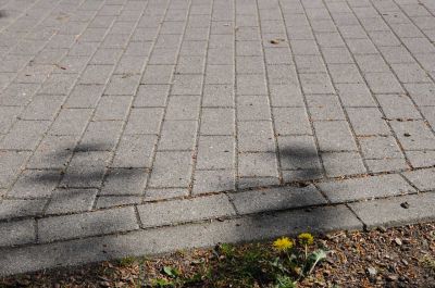 20120505_D90_Elsen_5690.jpg