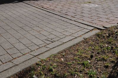 20120505_D90_Elsen_5691.jpg
