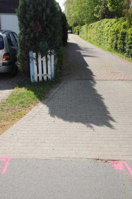 20120505_D90_Elsen_5710.jpg