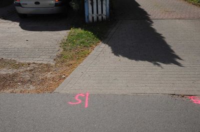 20120505_D90_Elsen_5711.jpg