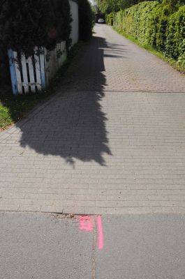 20120505_D90_Elsen_5712.jpg