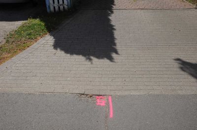 20120505_D90_Elsen_5713.jpg