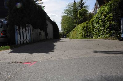 20120505_D90_Elsen_5714.jpg