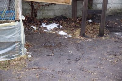 Matsch - da wächst auch kein Gras mehr
