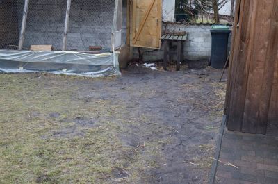 DSC_8603.jpg