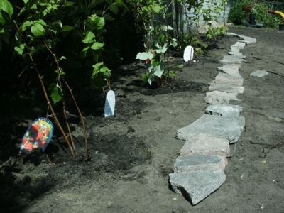 pict3594.jpg