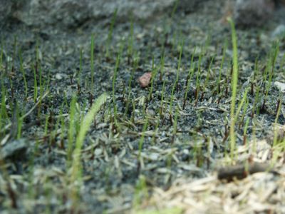 pict3634.jpg