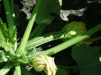 pict4122.jpg