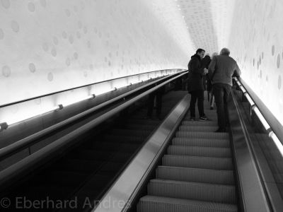 20170406_X20_ELPHI_4700.jpg