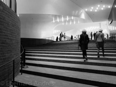 20170406_X20_ELPHI_4711.jpg
