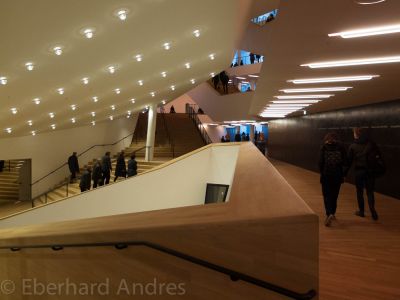 20170406_X20_ELPHI_4744.jpg