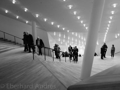 20170406_X20_ELPHI_4745.jpg