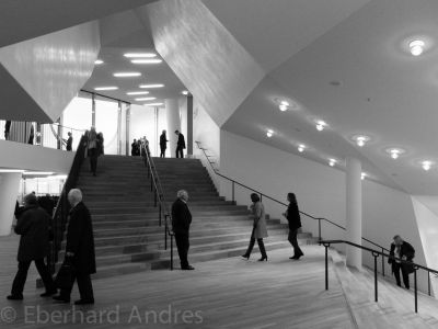 20170406_X20_ELPHI_4746.jpg