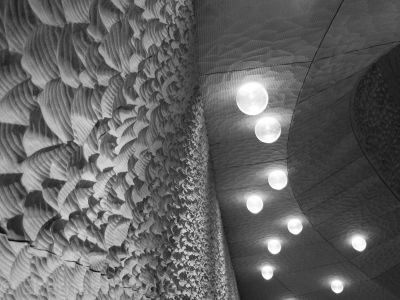 20170406_X20_ELPHI_4788.jpg