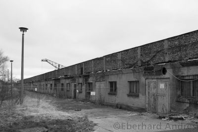 20100409_D90_Usedom_0760sw.jpg