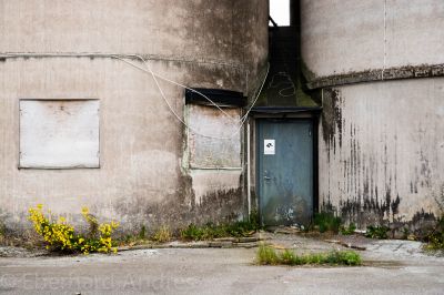 20160816_D71_SE_7982.jpg