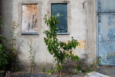 20160816_D71_SE_8005.jpg