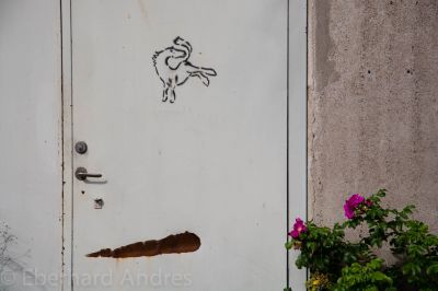 20160816_D71_SE_8008.jpg
