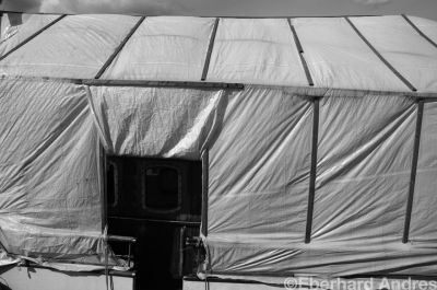 DSC_0355sw.jpg