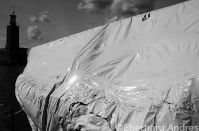 DSC_0356sw.jpg