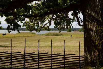 Naturreservat Segersgärde
