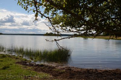 Naturreservat Segersgärde
