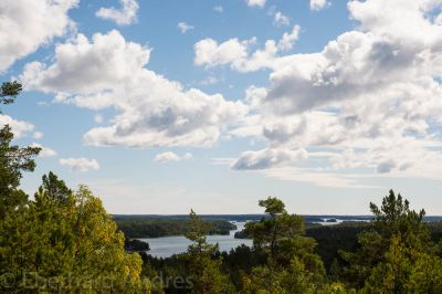40_20160816_D71_SE_7933.jpg