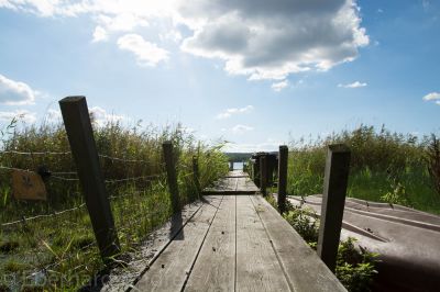 Bootsanleger am Fjord
