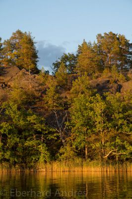 Küste vor Casimirsborg
