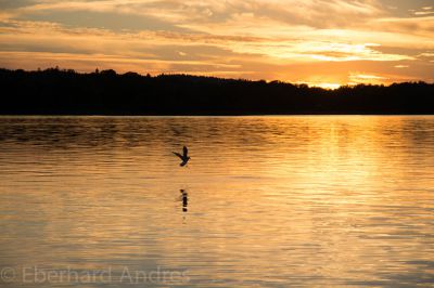 Sonnenuntergang vor Casimirsborg

