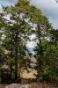28_20160811_D71_SE_7709.jpg