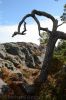 30_20160811_D71_SE_7718.jpg