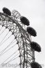 051_20100726_D90_UK_2400.jpg
