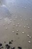 80_20130325_D90_HWI_7248.jpg
