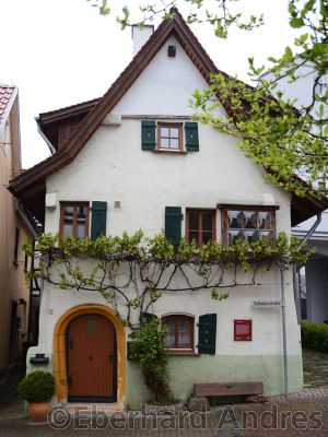 Leonberg
