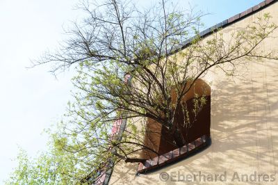 Hundertwasser-Wohnhaus
