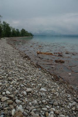 DSC_0871.jpg