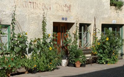 DSC_0962.jpg