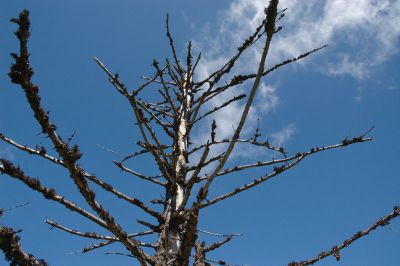 DSC_1210.jpg