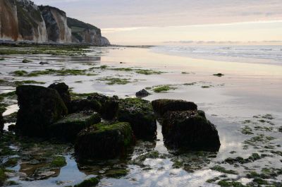 Pourville-sur-Mer
