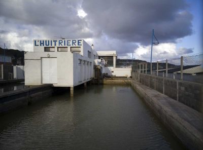 Austernzucht, Pourville-sur-Mer
